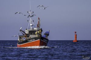 Statistiques 2022 du secteur de la pêche